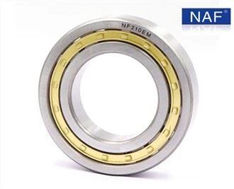 Cylindrical Bearing Type Nf